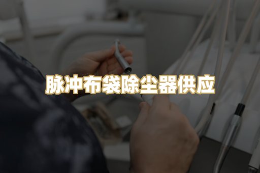 脉冲布袋除尘器供应