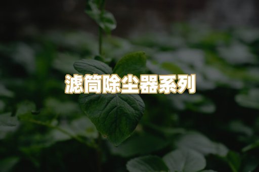 滤筒除尘器系列